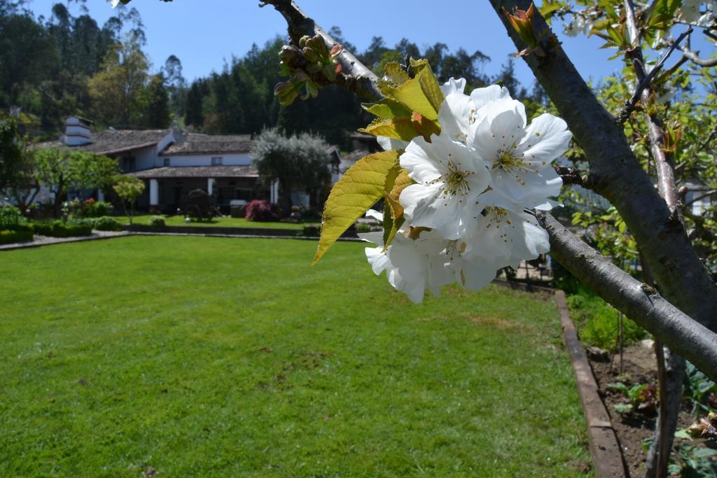Quintal De Alem Do Ribeiro-turismo Rural Lousa (Central Portugal)