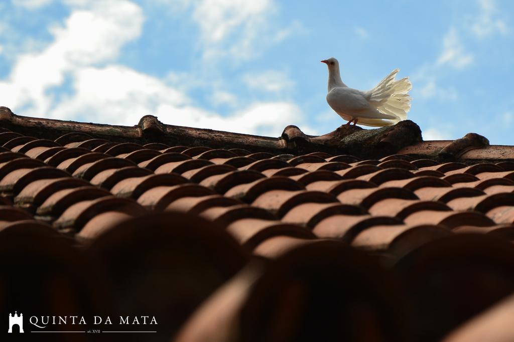 Quinta Da Mata - Turismo De Habitacao Country house Chaves