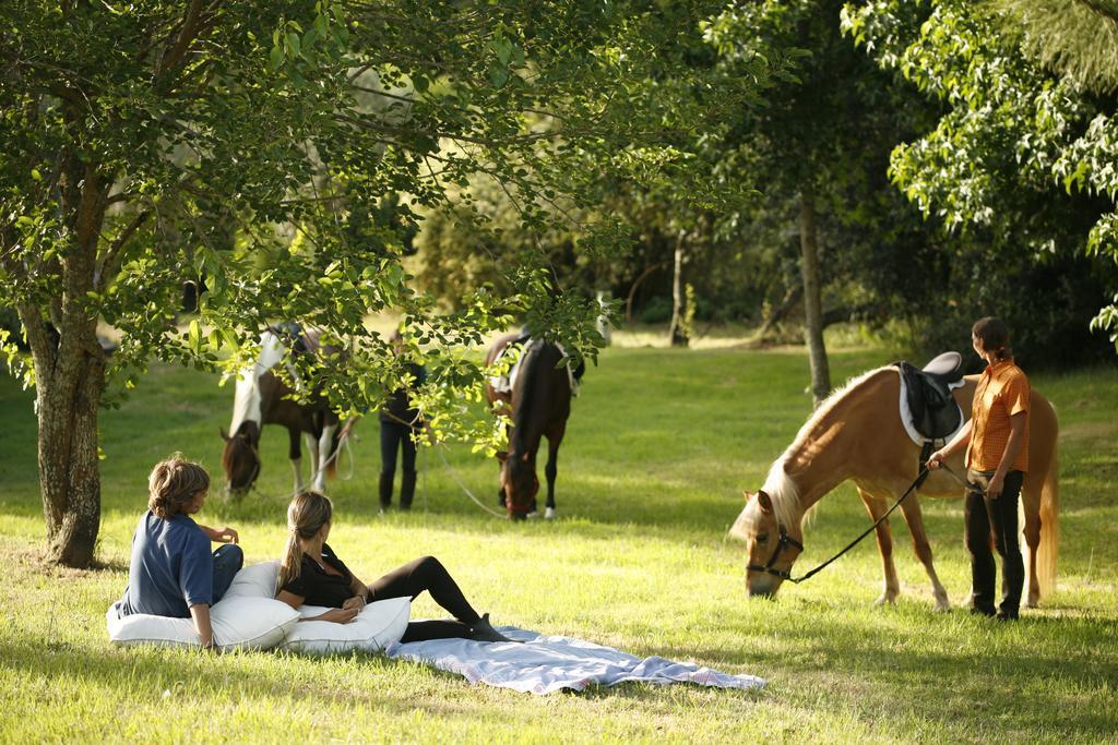 Herdade Da Matinha & Restaurant Country house Cercal do Alentejo