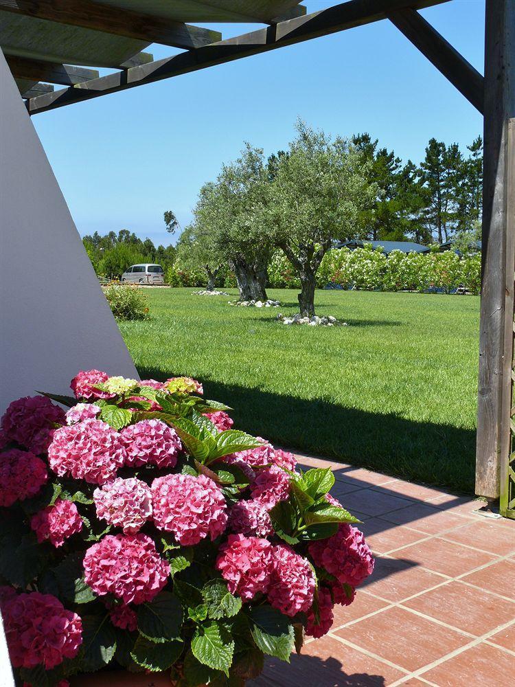 Casa Vicentina * Odeceixe