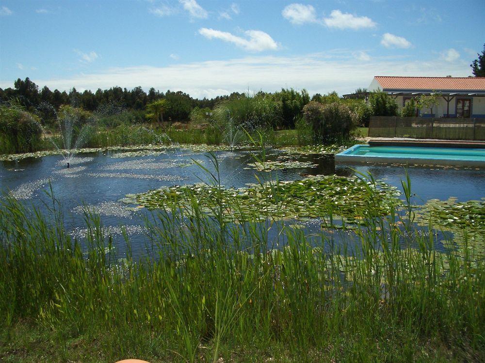 Casa Vicentina Farm stay