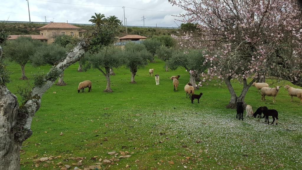 Quinta Das Pias *