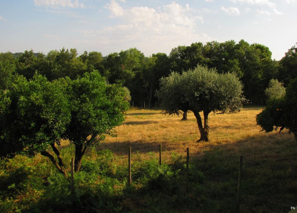 Farm stay Quinta Do Cerquito Ferreira do Zezere