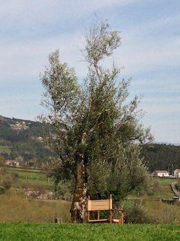Quinta Do Rapozinho Farm stay