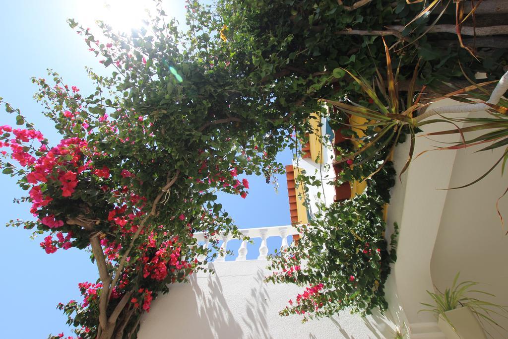 Townhouse Altura