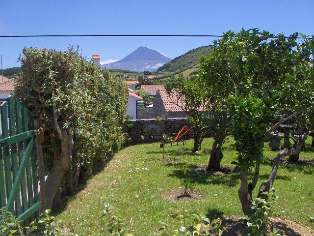 Farm stay Quinta Do Canto Horta (Azores)