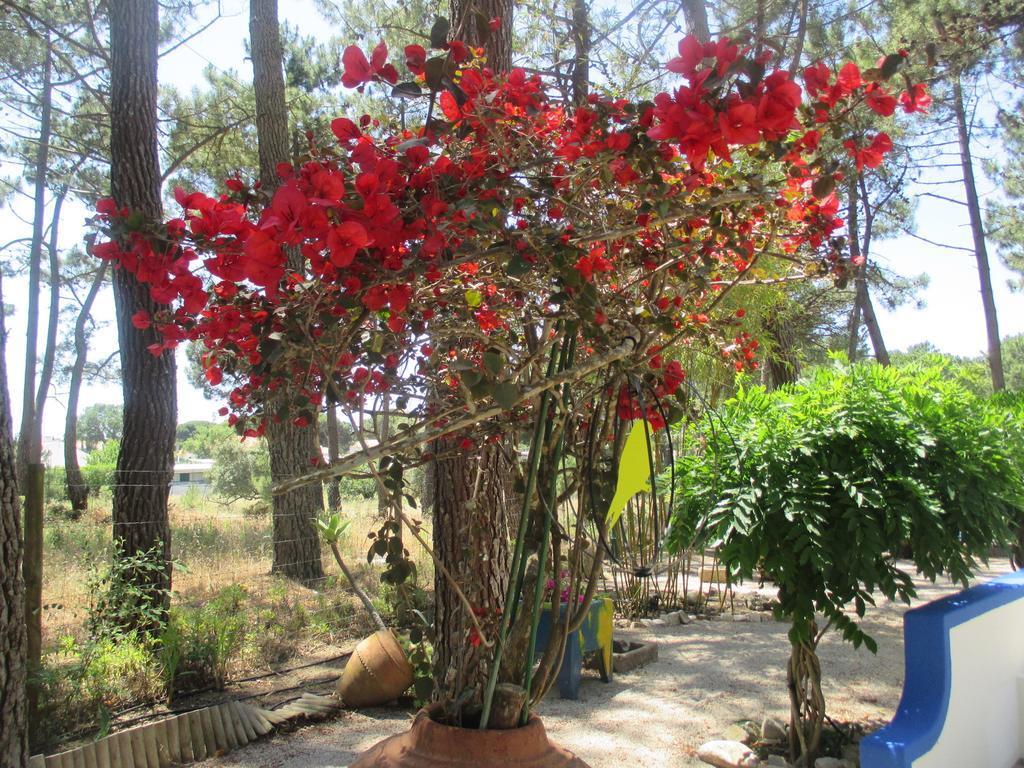 Casa Do Pateo