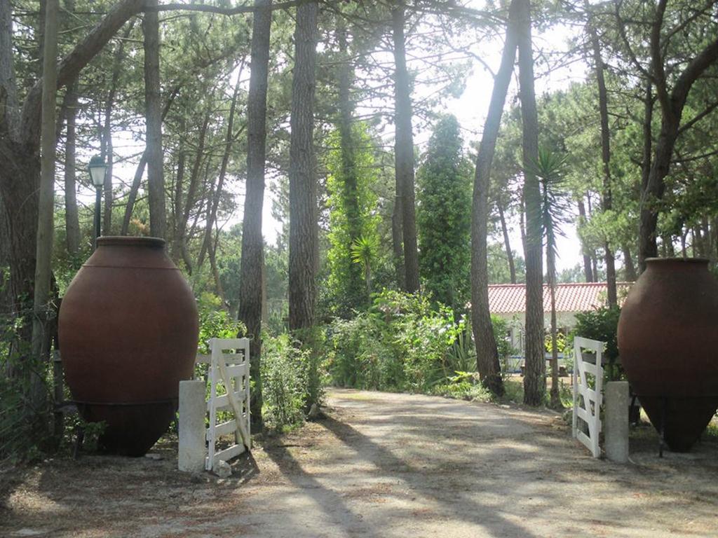 Farm stay Casa Do Pateo *