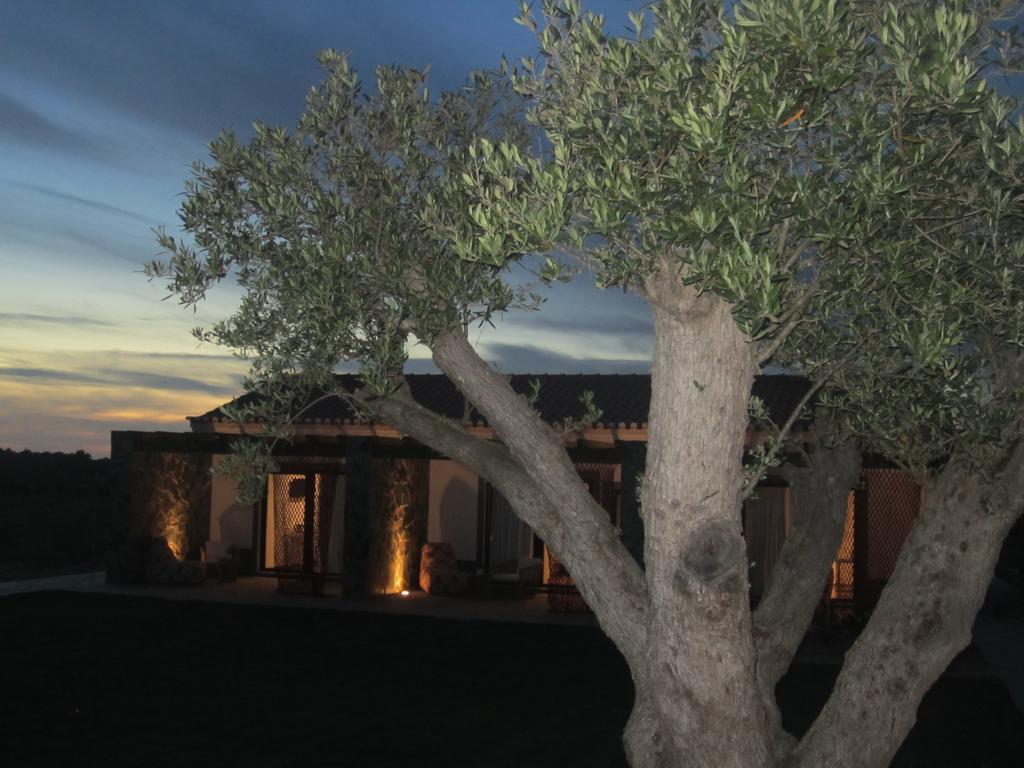 Monte Do Cardal Farm stay Odeceixe