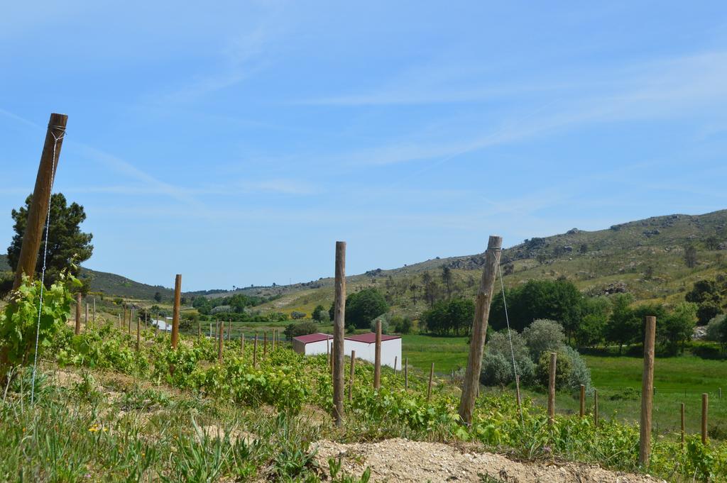 Quinta Vale Da Prata Farm stay Celorico Da Beira