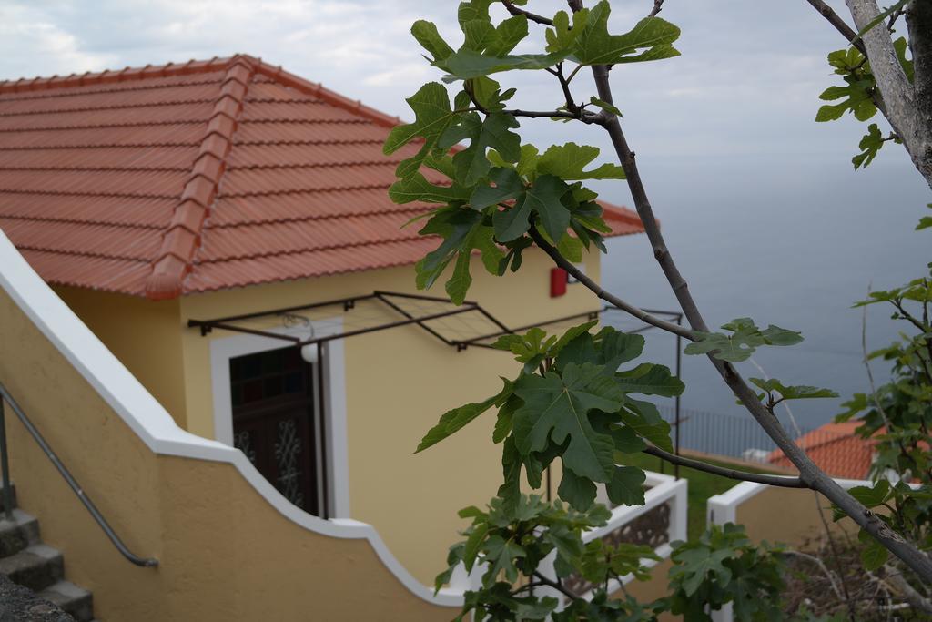 Pargo * Fajã da Ovelha