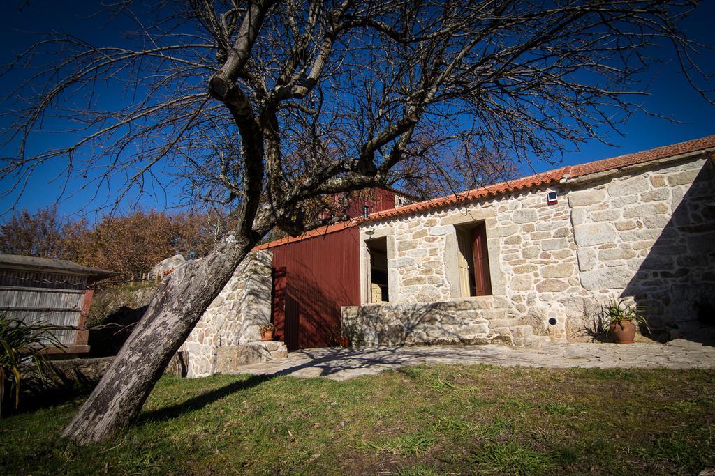Casas Dos Avos *