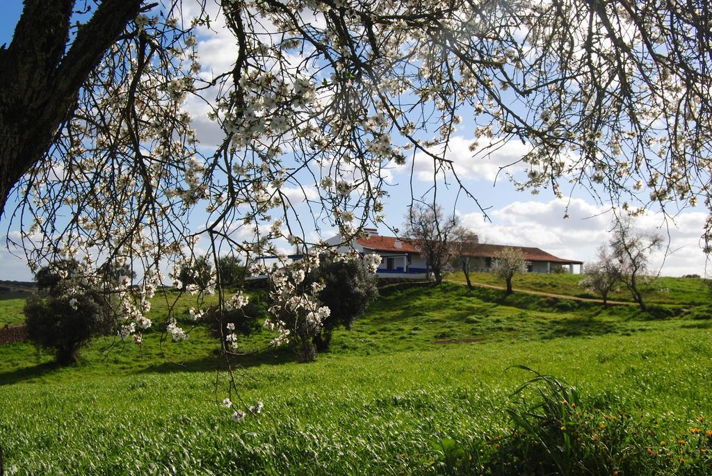 Farm stay Herdade Dos Mestres