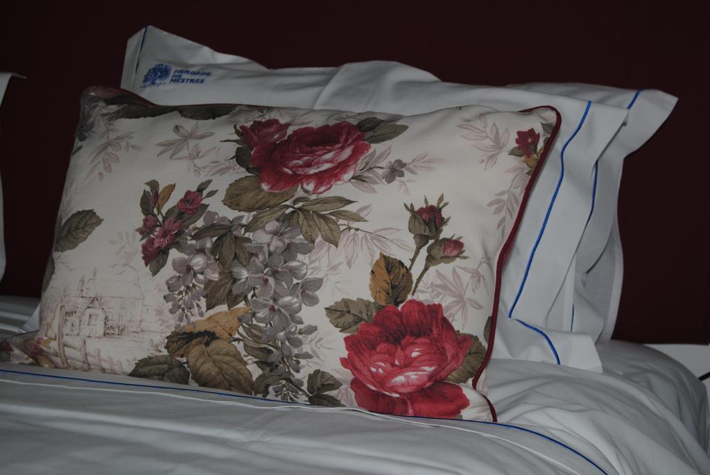 Herdade Dos Mestres Farm stay Terena