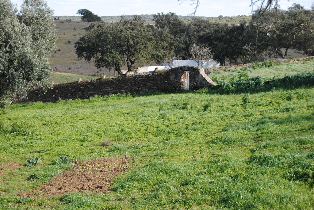Herdade Dos Mestres Terena