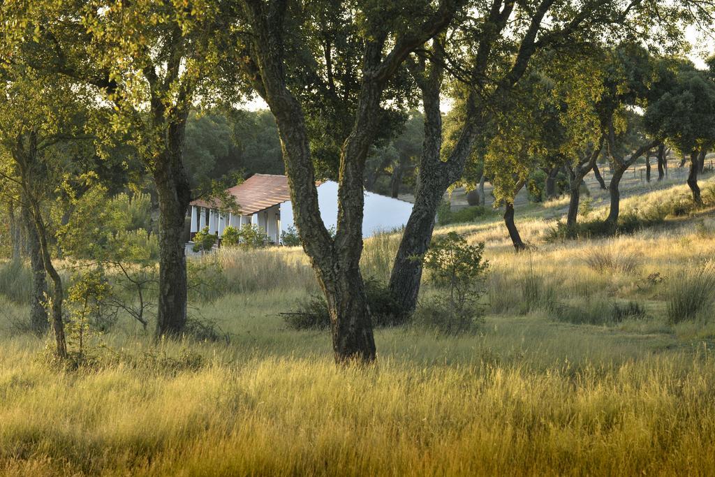 Herdade Barradas Da Serra Estadia no rancho Grândola