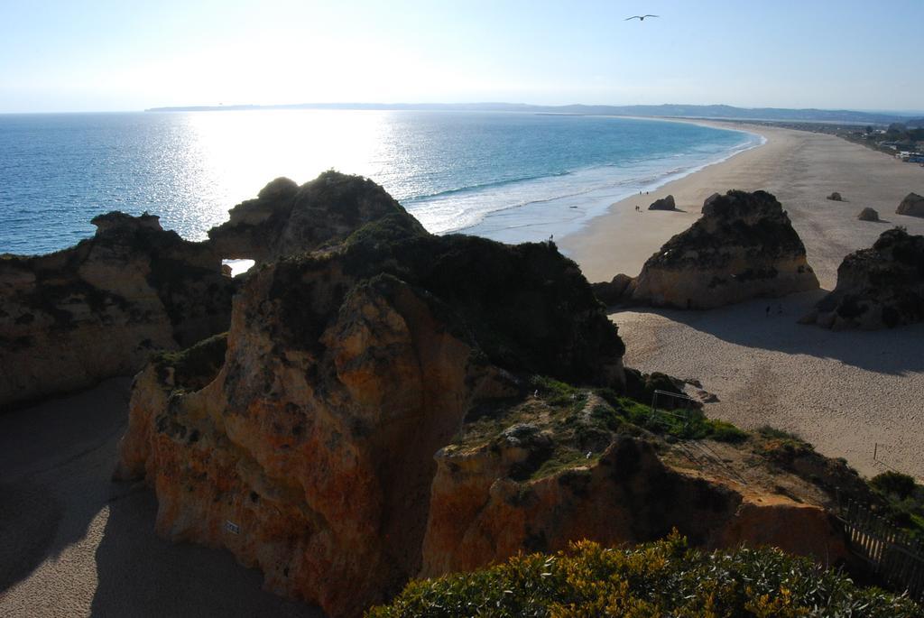 The Birds Nest Alvor