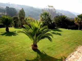 Encosta Das Freiras Guest house