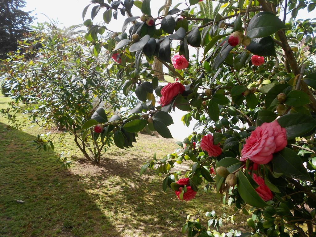 Quinta Valenciana