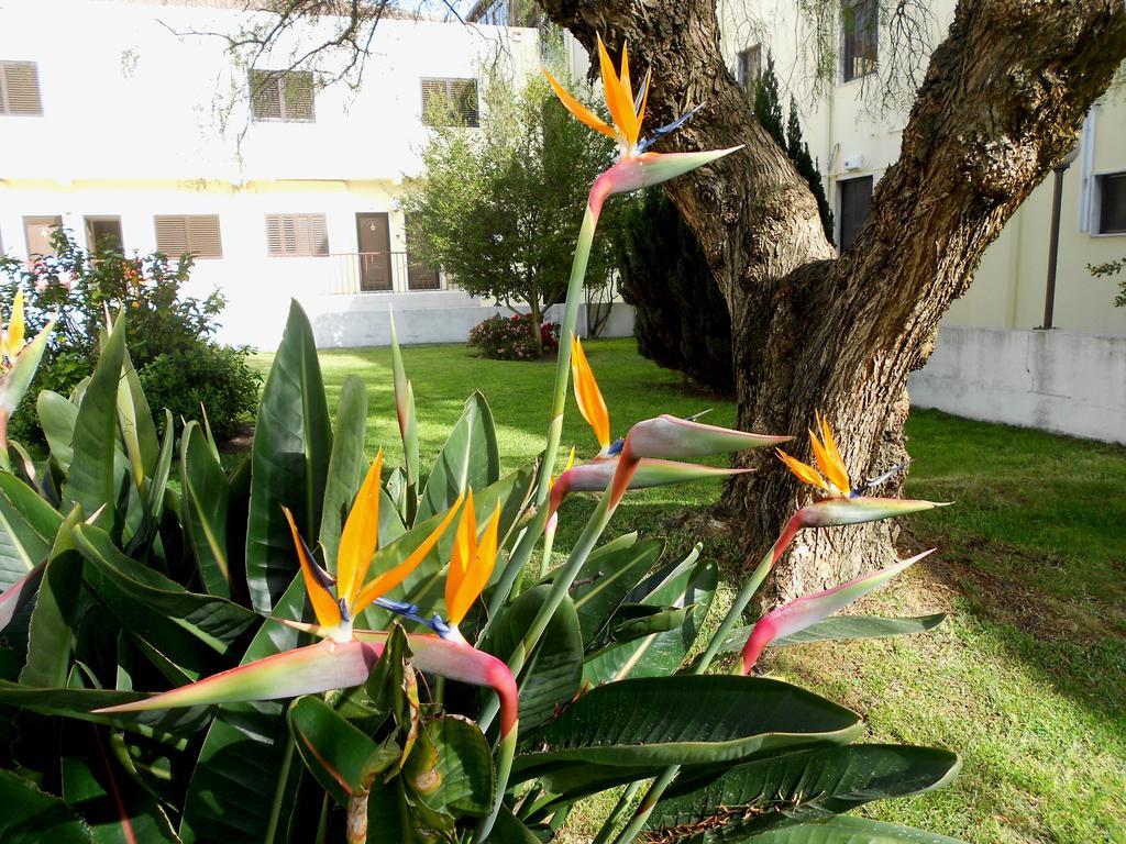 Quinta Valenciana Guest house