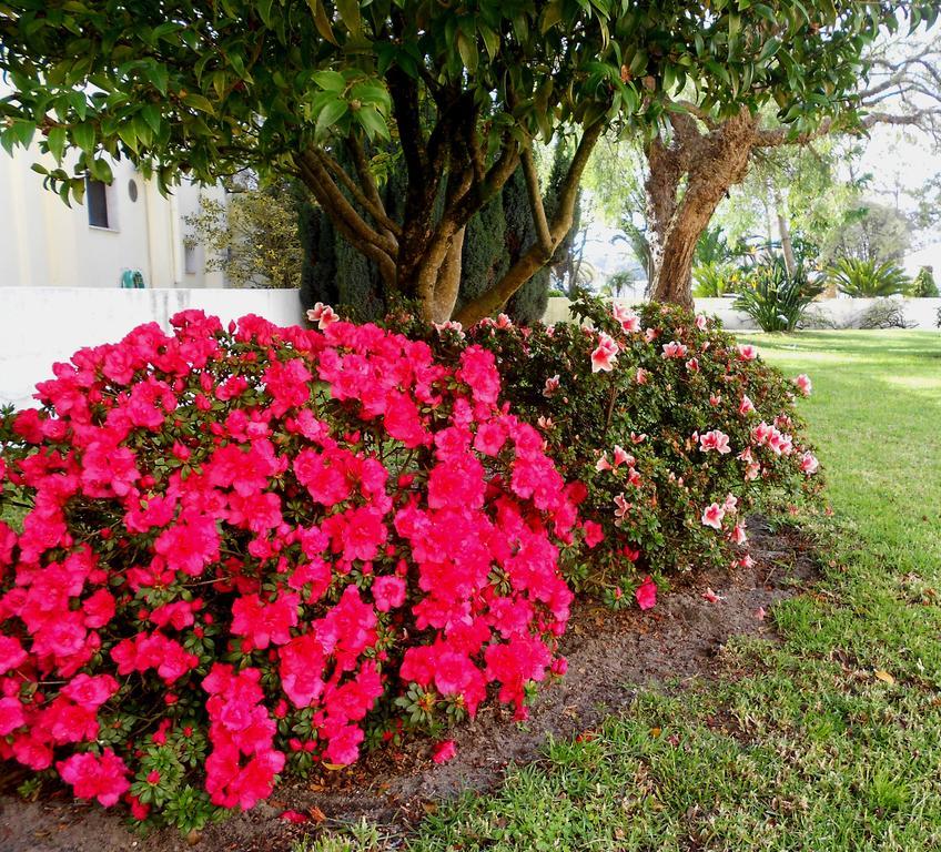 Guest house Quinta Valenciana *
