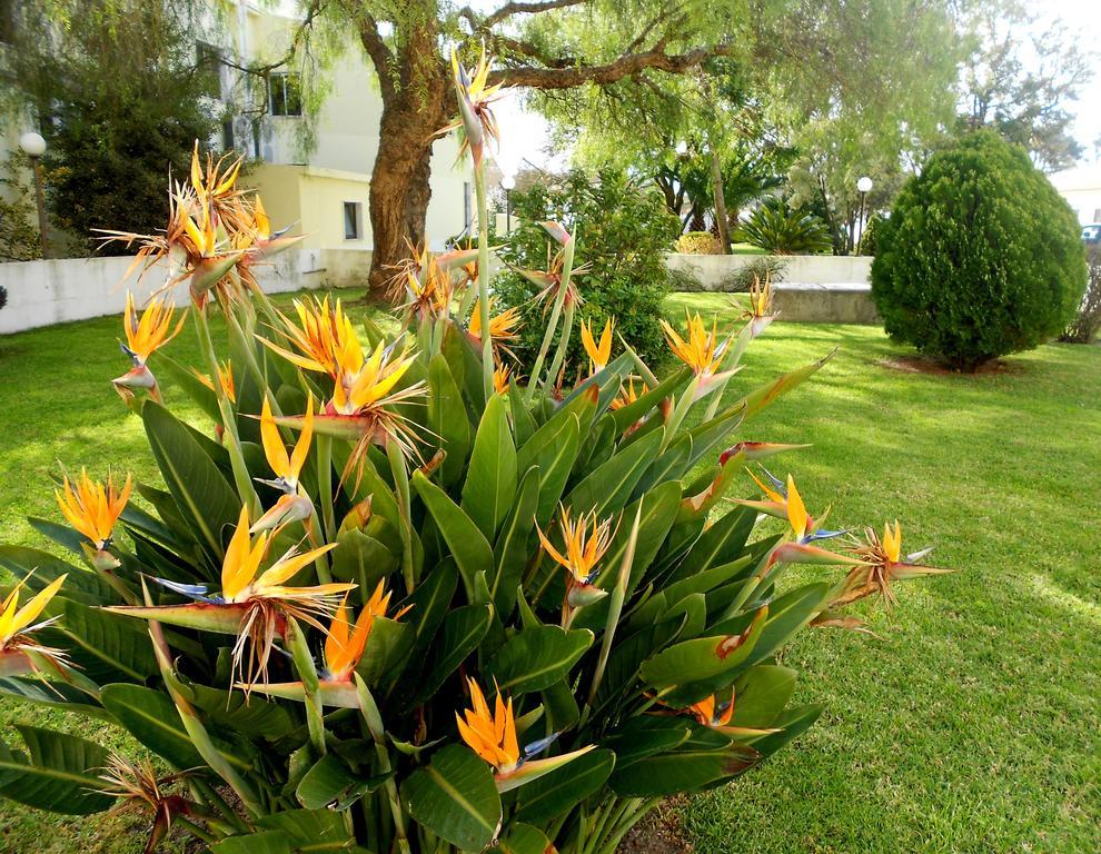 Quinta Valenciana