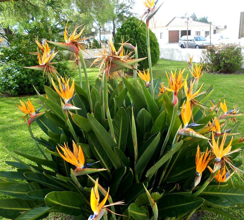 Quinta Valenciana *