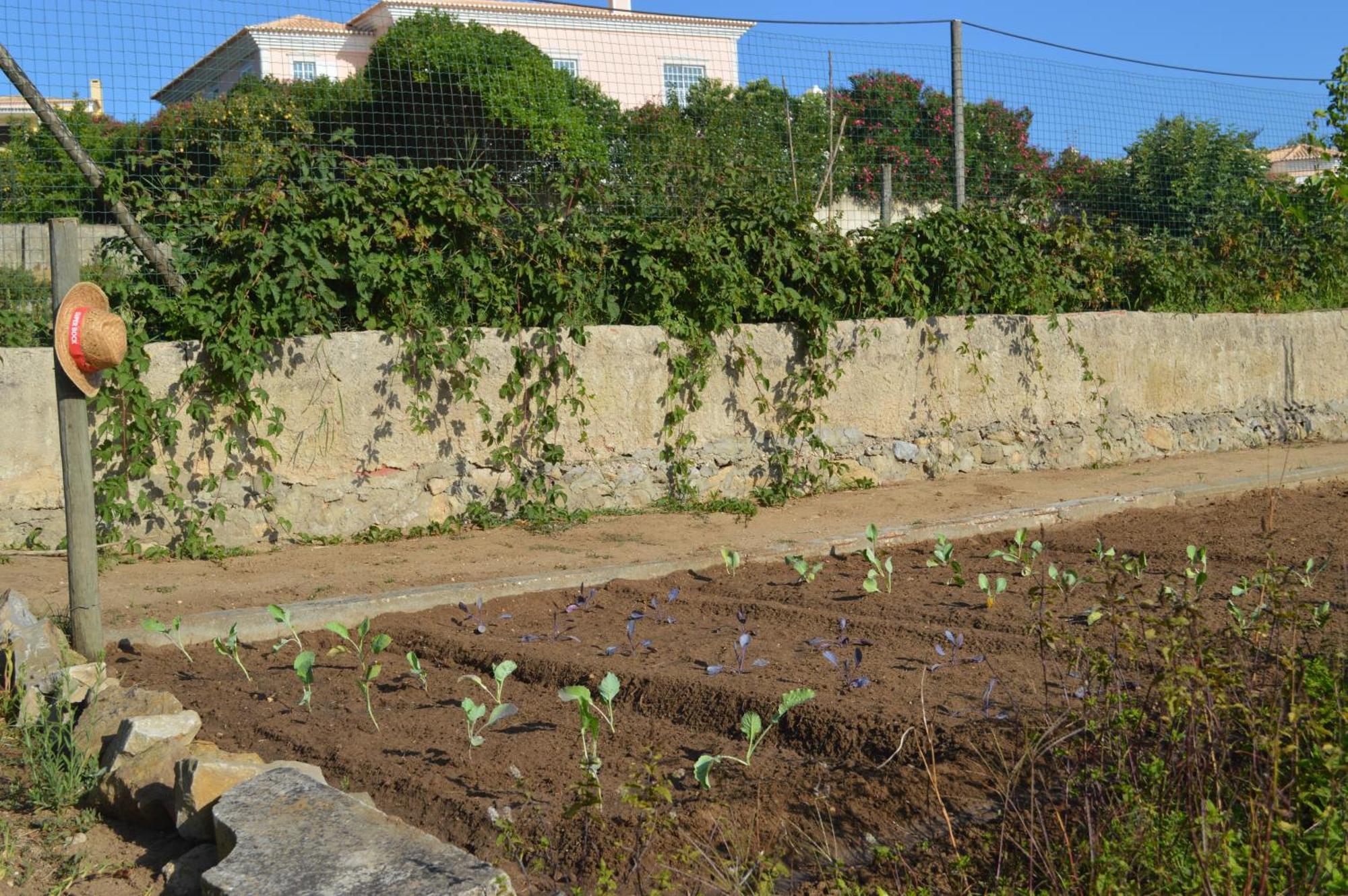 Casalinho De Santo Antonio Bed & Breakfast