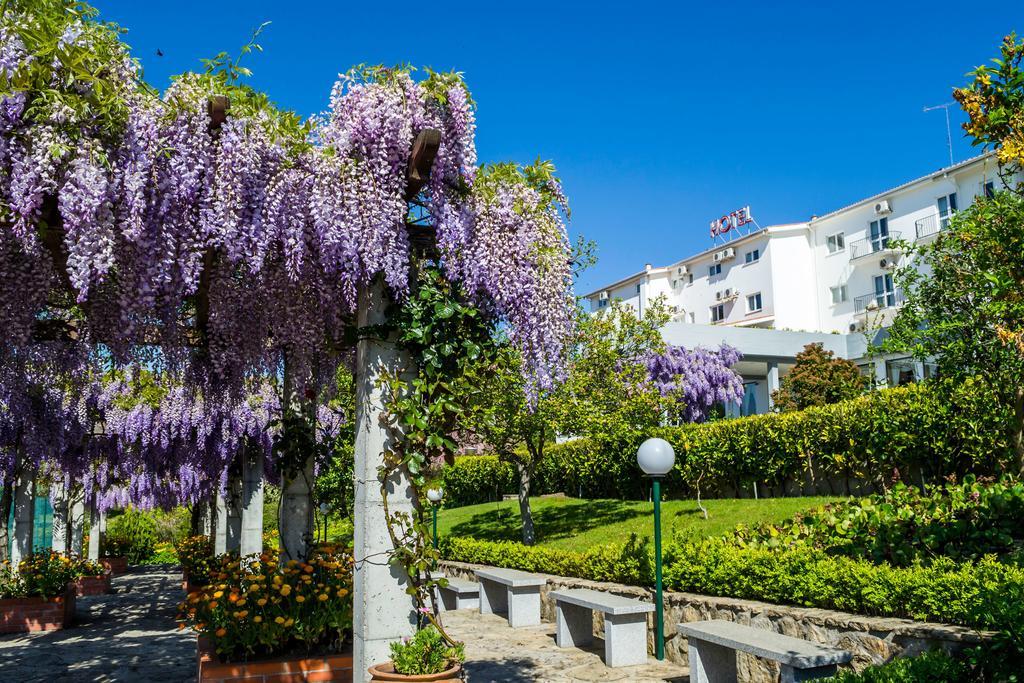 Hotel Belsol 3*