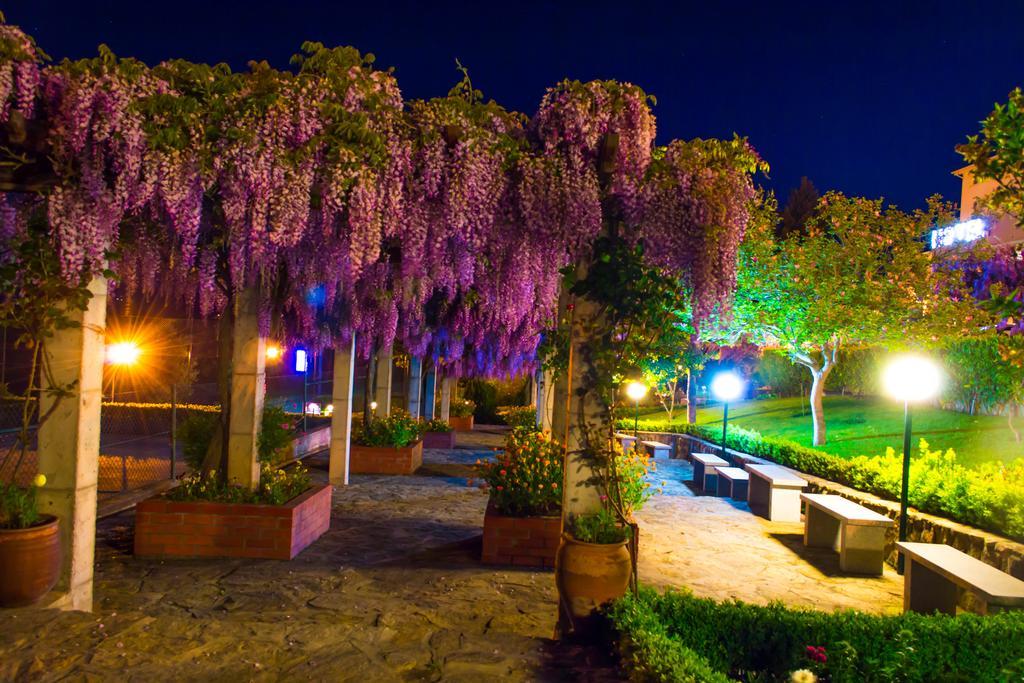 Belsol Hotel 3*