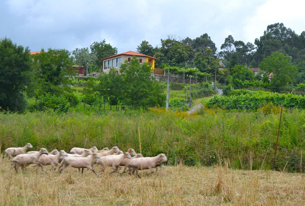 Quinta Do Olival * Arcos de Valdevez