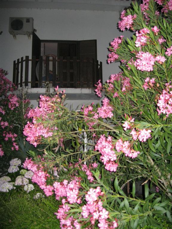 Guest house Casa Morgado *