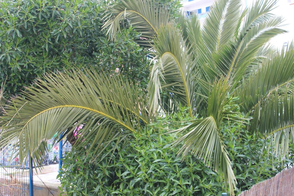 Chill Hill & Private - Peach Garden Hostel *
