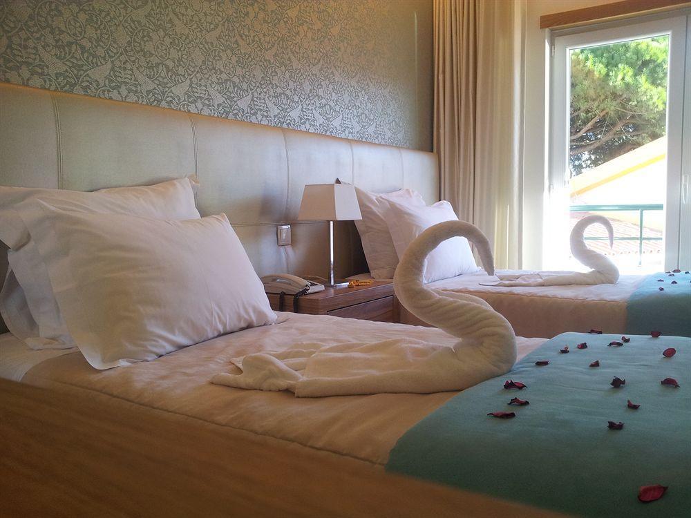Laurus 2*
