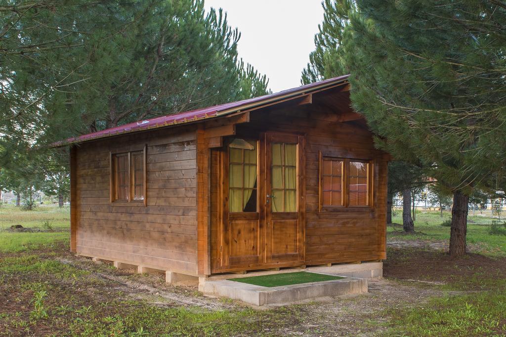 Casa de hóspedes Monte Macario Local Coruche
