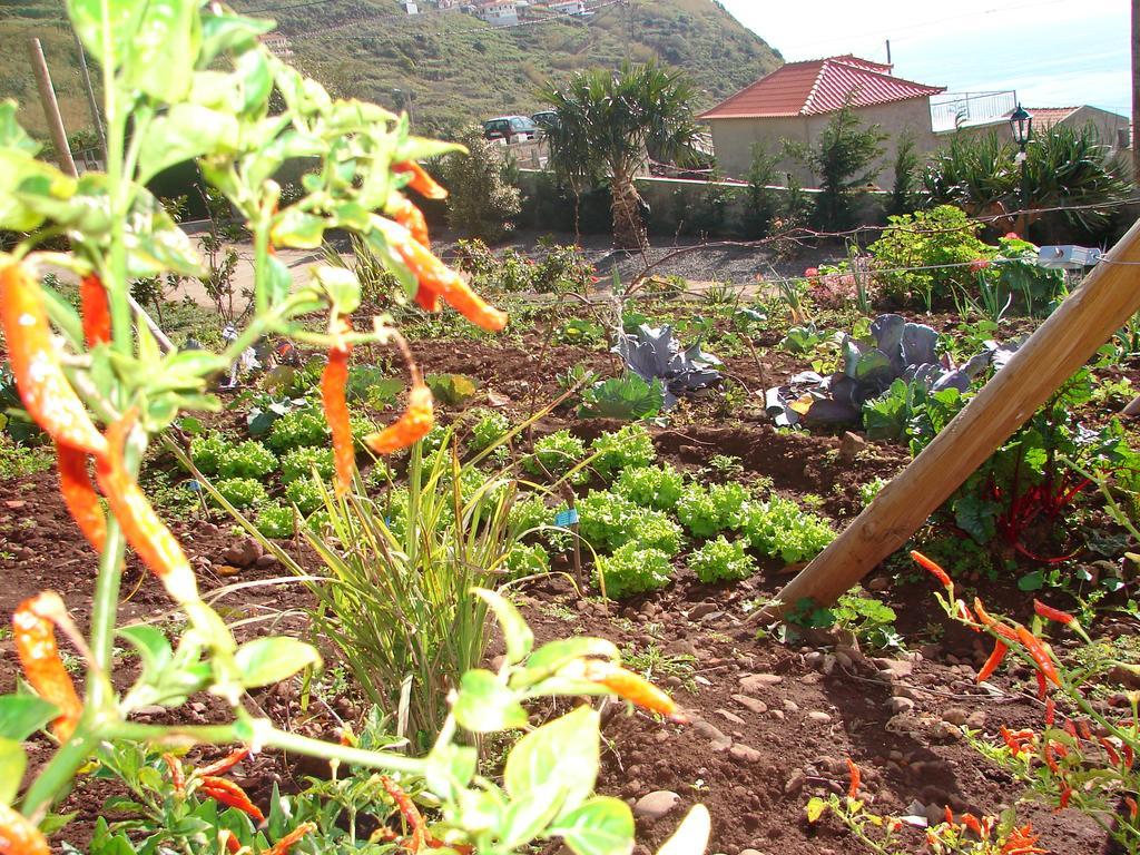 Quinta Vista Mar Do Arco * Calheta (Madeira)