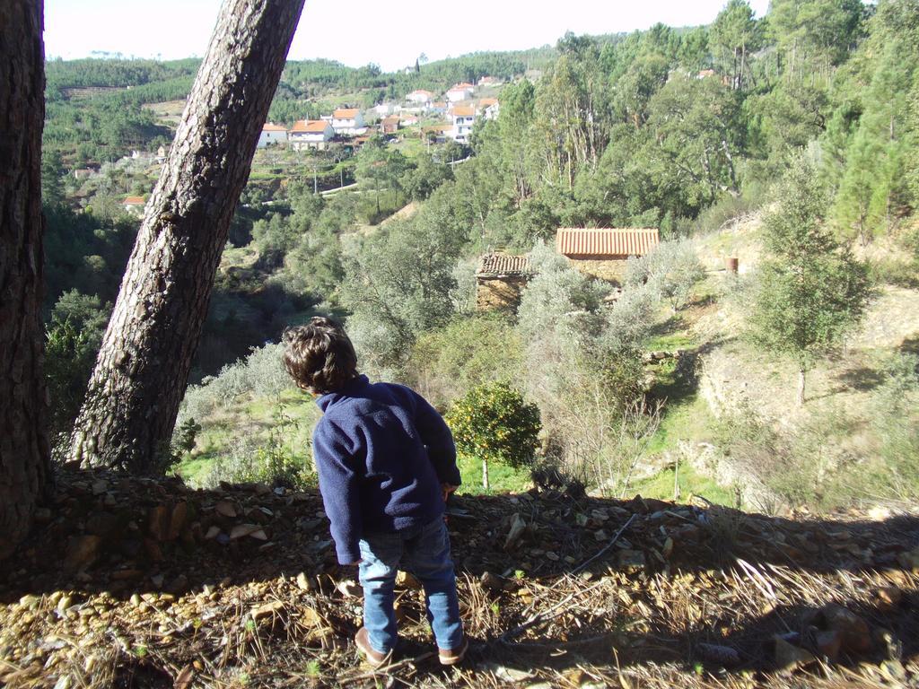 Holiday home Casas Da Encosta *