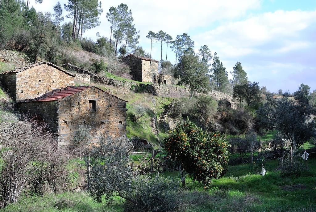 Holiday home Casas Da Encosta Proenca-a-Nova