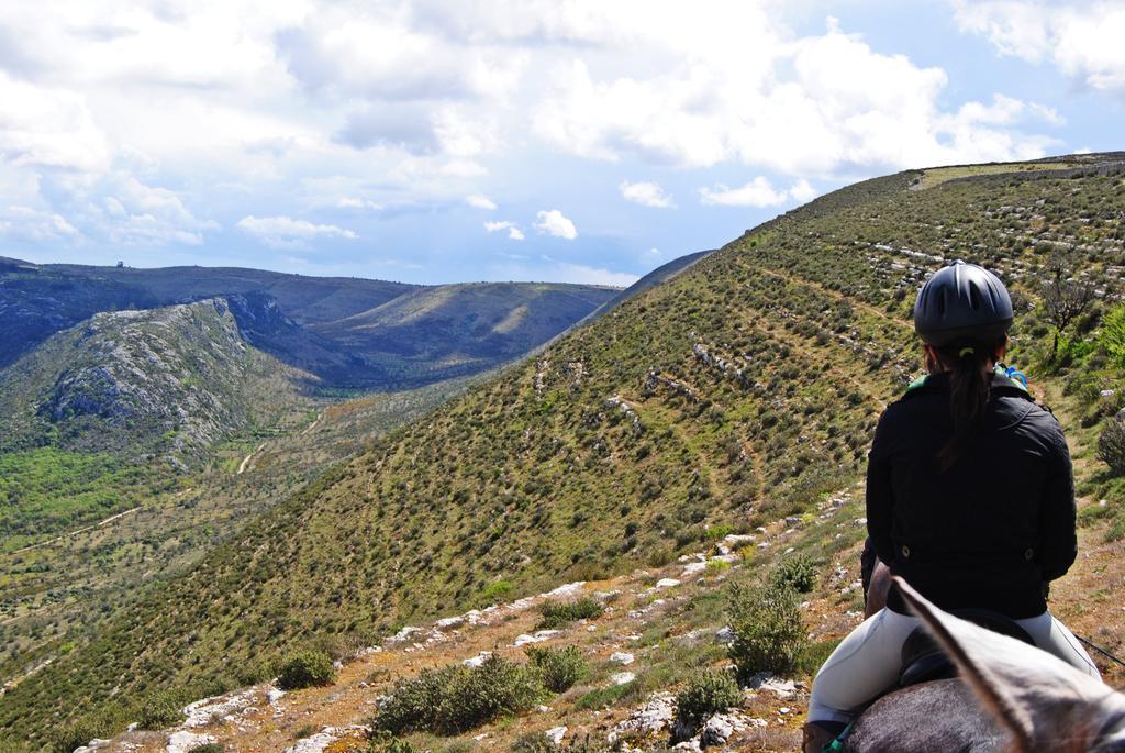 Hotel Cooking And Nature - Emotional Alvados