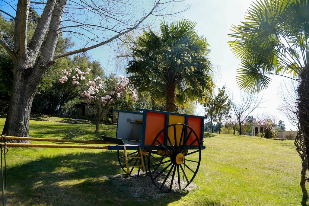 Olive Nature & - Quinta Valle De Passos 4*