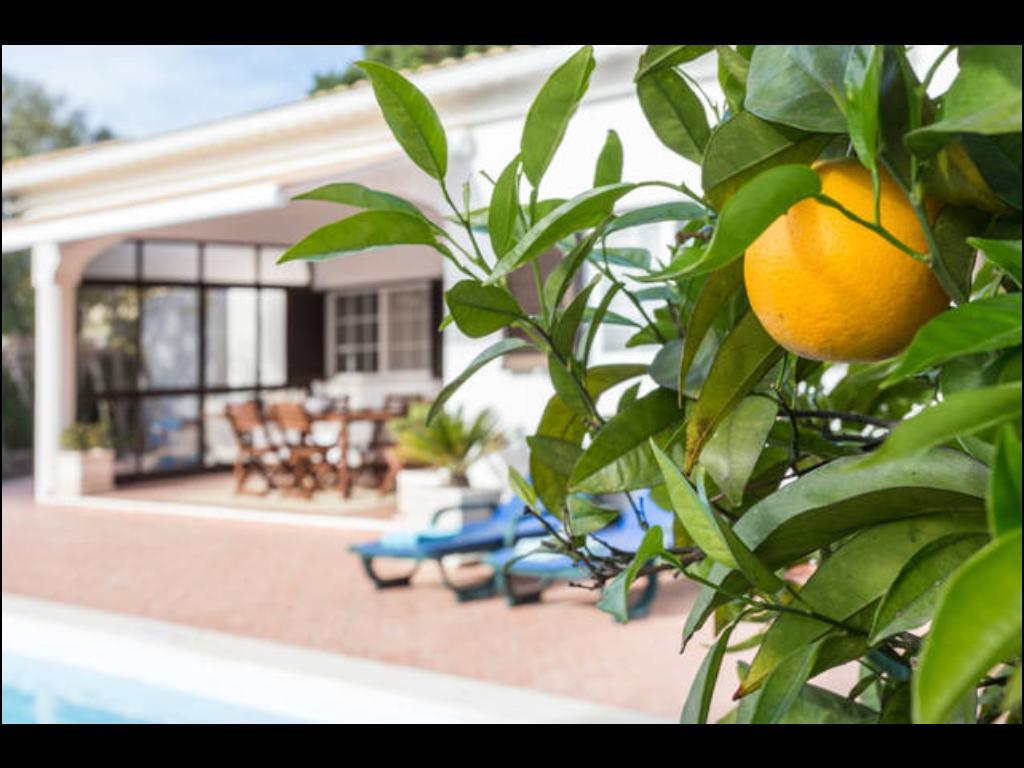 Villa Vilamar *