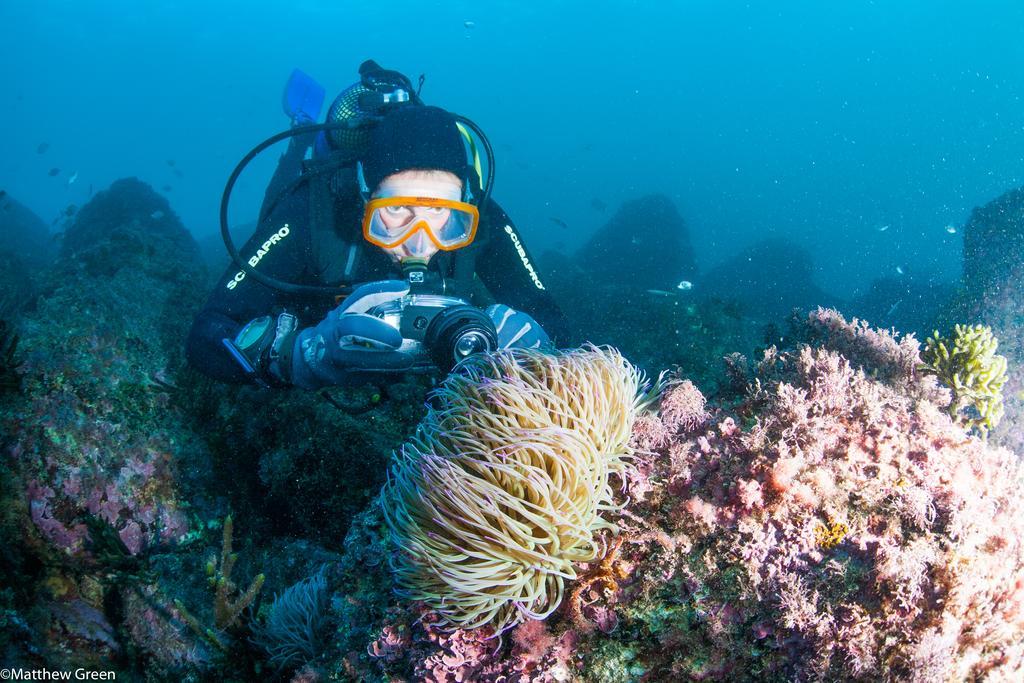 Puravida Divehouse