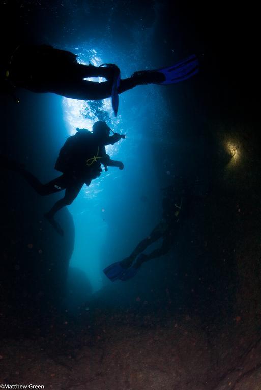 Puravida Divehouse *