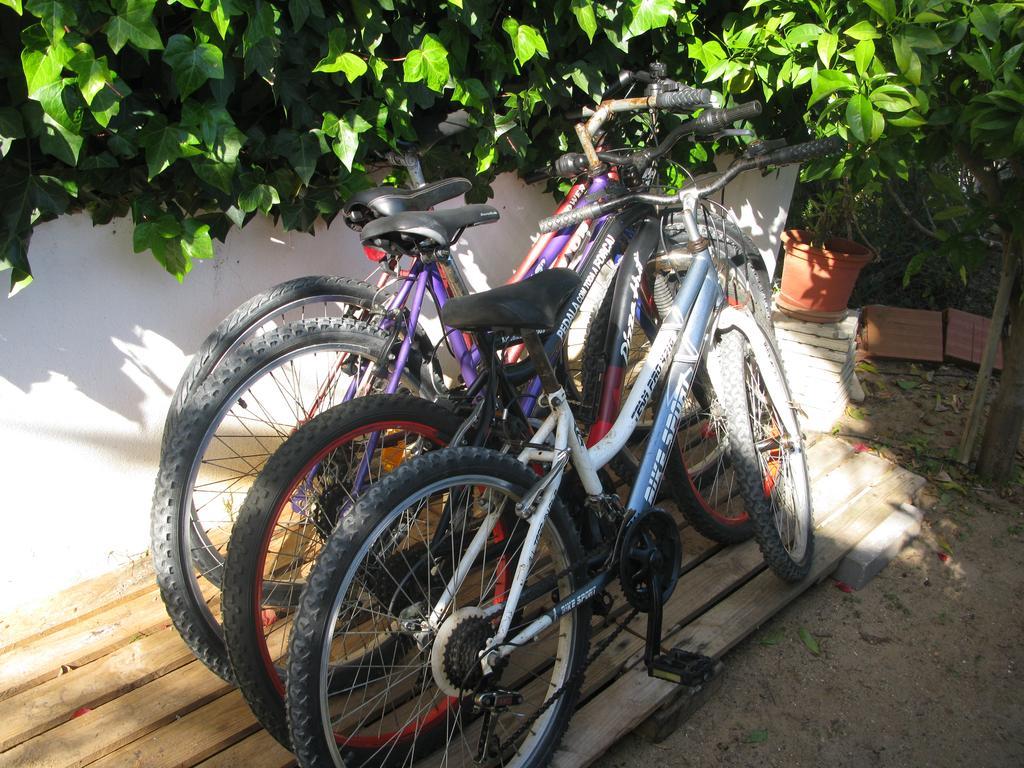Mateus Holiday home