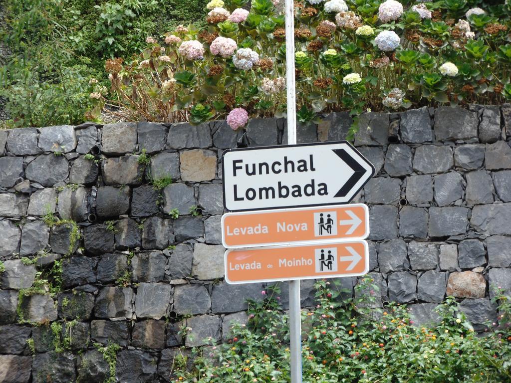 Levada Nova House Holiday home *