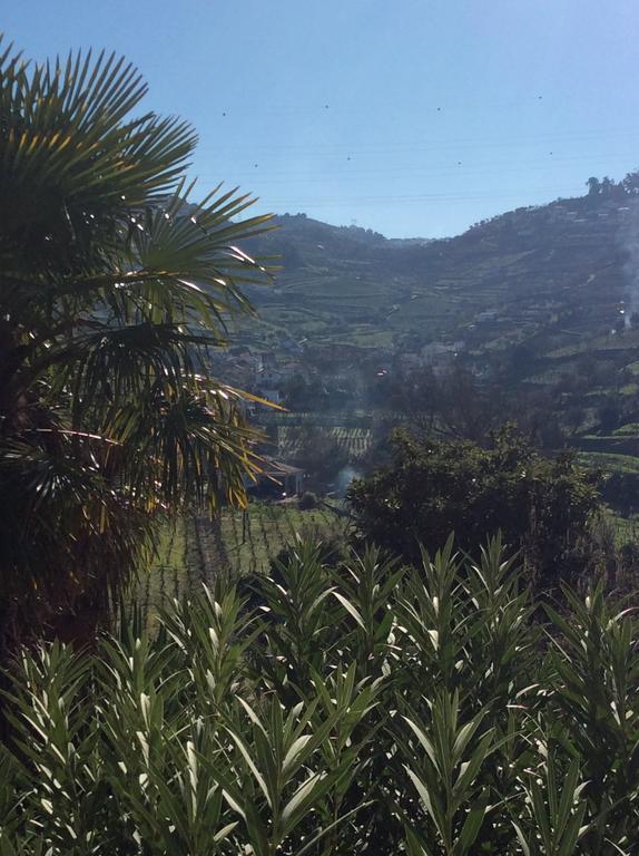 Acomodação com café da manhã  Quinta Do Fojo Lamego