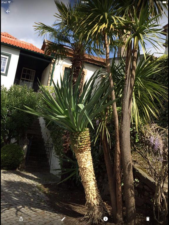 Bed & Breakfast Quinta Do Fojo *