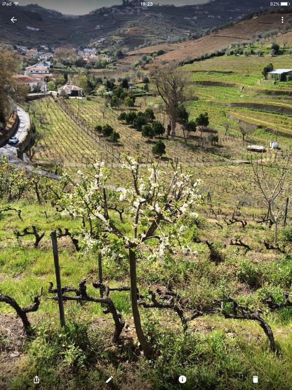 Quinta Do Fojo *