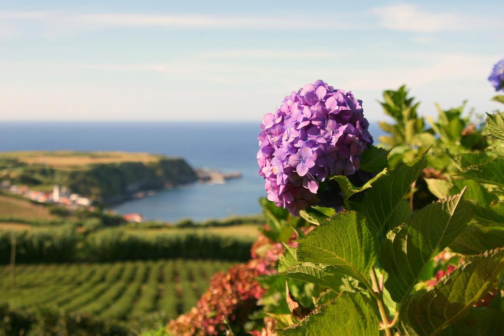 Casa Quinta Do Marques *