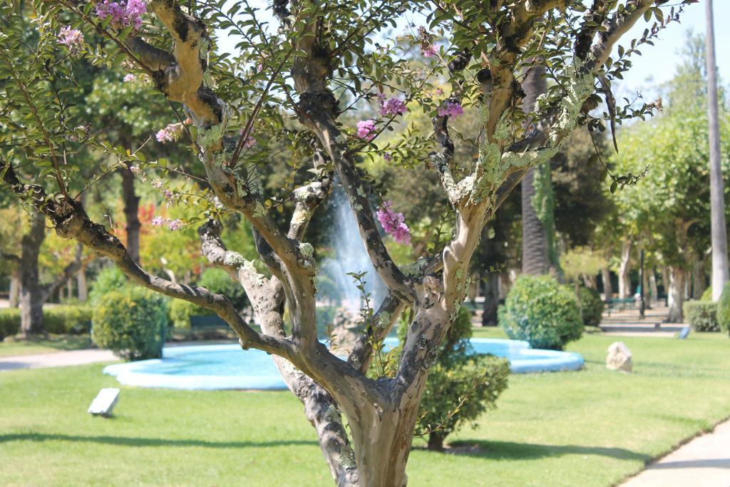 Termas Da Hotel